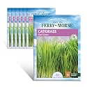 Ferry-Morse Online Edition Catgrass Seed Multipack - Pet Friendly, GMO Free, Outdoor Use - 7 Pack