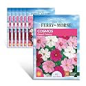 Ferry-Morse Online Edition Flowering Plant Seeds - Cosmos Dwarf Cutesy Mixed Colors, High Germination - 7 Pack - GMO Free