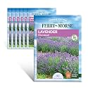 Ferry-Morse Online Edition Lavender Munstead Seed Multipack Flowering Plants - Attracts Pollinators, Full Sun, GMO Free - 7 Pack - Seeds