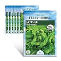 Ferry-Morse Online Edition Lettuce Buttercrunch Organic Seed Multipack - 7 Pack