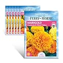 Ferry-Morse Online Edition Marigold Crackerjack Mixed Colors Seed Multipack - 7 Pack