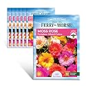 Ferry-Morse Online Edition Portulaca Moss Rose Double Mixed Colors Flowering Plants - Attracts Pollinators, GMO Free, Full Sun - 7 Pack - Seeds