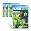 Ferry-Morse Online Edition Vegetable Plant Seeds - Organic Mesclun Greens, High Germination Rate - 7 Pack - GMO Free