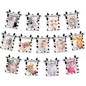 festiko cow theme photo banner for newborn to 12 months birthday decoration and party supplies