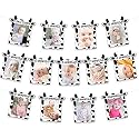 Festiko® Cow Theme Photo Banner for Newborn to 12 Months, Birthday Decoration and Party Supplies