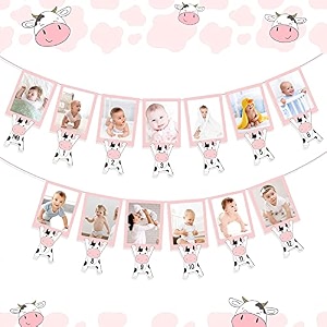festikoholy cow 12 month photo banner cow birthday banner decorations holy cow im one birthday decorations girl cow themed birthday party supplies for girl