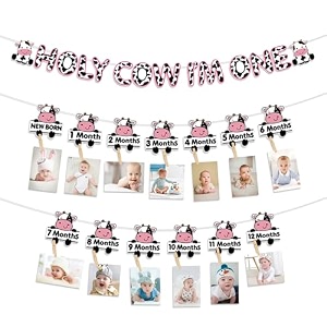 festiko holy cow i39m one banner amp photo banner for newborn to 12 months with wooden clips 1st birthday decorations cow theme birthday decoration