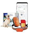 FETACA Smart 4G Pet GPS Tracker Free 12 Month 4G Data SIM and App Subscription for Dogs, Adult Cats, and Other Animals | Real-Time Tracking with Geo-Fencing and Alerts | Lightweight Design