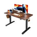 FEZIBO Electric Standing Desk Height Adjustable, 48 x 24 Inches Sit Stand up Desk, Home Office Computer Desk Rising Memory Presets (Dark Walnut)