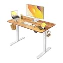 FEZIBO Electric Standing Desk Height Adjustable, 40 x 24 Inches Sit Stand up Desk, Home Office Computer Desk Rising Memory Presets (Light Rustic)