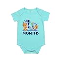 Fflirtygo Monthly Birthday Special Unisex Baby Romper Half Sleeve Envelope Neck 10 Month Old(9-12 Months, Light Blue)