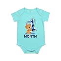 Fflirtygo Monthly Birthday Special Unisex Baby Romper Half Sleeve Envelope Neck 1 Month Old(0-3 Months, Light Blue)