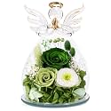 FIACO Gifts for Women Birthday Preserved Rose Forever Flower in Glass Angel Figurines Fresh Flowers for Delivery Prime for Mom Real Green Roses for Grandma Sister Wife Her from Daughter