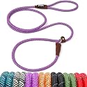 Fida Durable Slip Lead Dog Leash, 6 FT x 3/8" Dog Training Leash, Purple