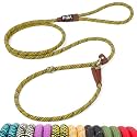 Fida Durable Slip Lead Dog Leash, 6 FT x 3/8" Dog Training Leash, Yellow