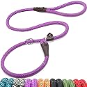 Fida Durable Slip Lead Dog Leash, 4 FT x 1/2" Dog Training Leash, Purple