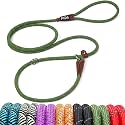 Fida Durable Slip Lead Dog Leash, 6 FT x 3/8" Dog Training Leash, Green