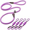 Fida Slip Lead Dog Leash 5 Pack, 6 FT x 1/2" Dog Training Leash, Purple
