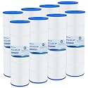 Fil-fresh 8 Pack CCP420 Pool Filter Compatible with Pentair R173576, PCC105