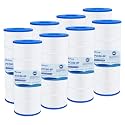 Fil-fresh 8 Pack CCP320 Pool Filter Compatible with Pentair R173573, PCC80