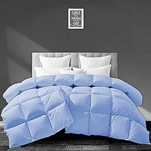 filbert - all season 250 gsm comforter super soft fluffy comforter 9034 x 10034 inches228cm x 254cm - double bed comfortersky blue