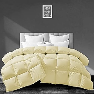 filbert - all season 250 gsm comforter super soft fluffy comforter 9234 x 10634 inches233cm x 269cm - king size comforterivory