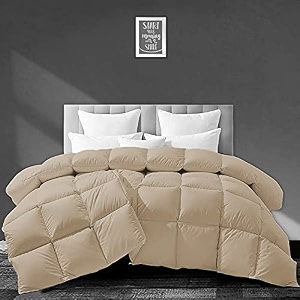 filbert - all season 250 gsm comforter super soft fluffy comforter 9034 x 9034 inches228cm x 228cm - queen size comforterbeige