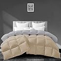Filbert - All Season 250 GSM Comforter Super Soft Fluffy Revesible Comforter (90" x 90" Inches/228cm x 228cm) - Queen Size Comforter|Silver/Beige