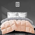Filbert - All Season 250 GSM Comforter Super Soft Fluffy Revesible Comforter (60" x 90" Inches/152cm x 228cm) - Single Bed Comforter|Silver/Peach
