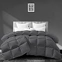 Filbert - All Season 250 GSM Comforter Super Soft Fluffy Comforter (90" x 90" Inches/228cm x 228cm) - Queen Size Comforter|Dark Grey