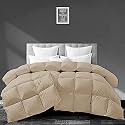 Filbert - All Season 250 GSM Comforter Super Soft Fluffy Comforter (92" x 106" Inches/233cm x 269cm) - King Size Comforter|Beige