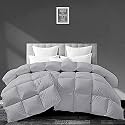 Filbert - All Season 250 GSM Comforter Super Soft Fluffy Comforter (92" x 106" Inches/233cm x 269cm) - King Size Comforter|Silver