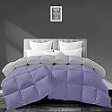Filbert - All Season 250 GSM Comforter Super Soft Fluffy Revesible Comforter (90" x 90" Inches/228cm x 228cm) - Queen Size Comforter|Silver/Medium Blue
