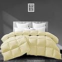 Filbert - All Season 250 GSM Comforter Super Soft Fluffy Comforter (90" x 100" Inches/228cm x 254cm) - Double Bed Comforter|Ivory