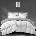 Filbert - All Season 250 GSM Comforter Super Soft Fluffy Revesible Comforter (92" x 106" Inches/233cm x 269cm) - King Size Comforter|Silver/White