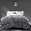 Filbert - All Season 250 GSM Comforter Super Soft Fluffy Revesible Comforter (90" x 90" Inches/228cm x 228cm) - Queen Size Comforter|Silver/Dark Grey