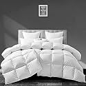 Filbert - All Season 250 GSM Comforter Super Soft Fluffy Comforter (90" x 100" Inches/228cm x 254cm) - Double Bed Comforter|White