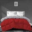 Filbert - All Season 250 GSM Comforter Super Soft Fluffy Revesible Comforter (60" x 90" Inches/152cm x 228cm) - Single Bed Comforter|Silver/Burgundy