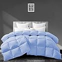 Filbert - All Season 250 GSM Comforter Super Soft Fluffy Comforter (92" x 106" Inches/233cm x 269cm) - King Size Comforter|Sky Blue