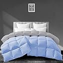 Filbert - All Season 250 GSM Comforter Super Soft Fluffy Revesible Comforter (90" x 90" Inches/228cm x 228cm) - Queen Size Comforter|Silver/Sky Blue