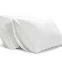 Filbert - Standard Size Microfiber (18" x 28" Inches/46cm x 71cm) Pillow Covers - Set of 2|White