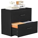 File Cabinet, 2 Drawer Lateral Filing Cabinet with Hanging Bars for Letters, Black File Cabinets for Home Office, Large Printer Stand, Wood Office Storage Cabinet