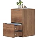 File Cabinet 2 Drawer, Wood Filing Cabinets with Hanging Bars for Letter Size, Samll Filing Cabinets for Home Office, Under Desk Storage Cabinet, Assembly Required, Brown