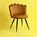 Finch Fox Crown Luxurious Home Collection Dining Chairs in Tan Velvet Material and Stylish Design with Black Powder Coated Metal Legs