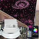 Firework 16W Dual Head Twinkle Fiber Optic Lights Kit, Bluetooth RGBW LED Starlight Headliner Kit for Car Home Ceiling Star Ceiling Sky Light with APP/Remote Music Mode 720pcs Mixed Fibers 9.8ft/3m