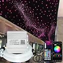Firework 16W Dual Head Twinkle Fiber Optic Lights Kit, Bluetooth RGBW LED Starlight Headliner Kit for Car Home Ceiling Star Ceiling Sky Light with APP/Remote Music Mode 920pcs Mixed Fibers 9.8ft/3m