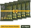 FIRST PLANT Premium Rajasthani HENNA POWDER, ORGANIC Henna for Hair Colour and Hair Care (375 g)