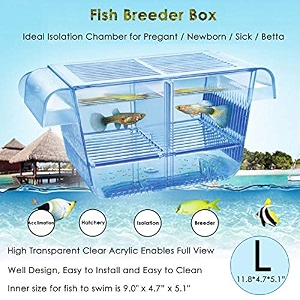 fish breeder box fish hatchery floating fish breeding box with removable grating perfect fish tank divider for agreesive injured pregnant fishes