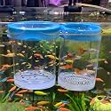 Fish Breeder Box for Fishes Tank Isolation Aquarium Separator Hatchery Incubator for Guppy Baby Betta Saltwater Clownfish Coral Aggressive or Injured Fish (Large Two-Piece Set)