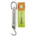 Fish Handy Spring Balance 100KG | Analog Suspension Weighing Scales | Weight Machine for Luggages, Fishes, Scrape and Agriculture Scale With Hook | Weight Measuring Machine | Travel Scale. (FISH)